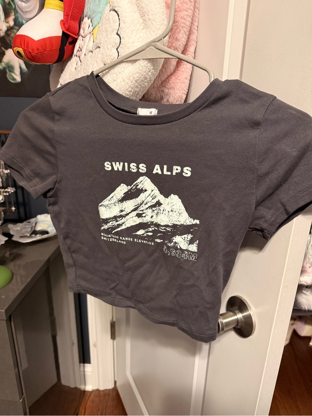 Swiss Alps Graphic Baby Crop Tee - Charcoal with White Print from Garage